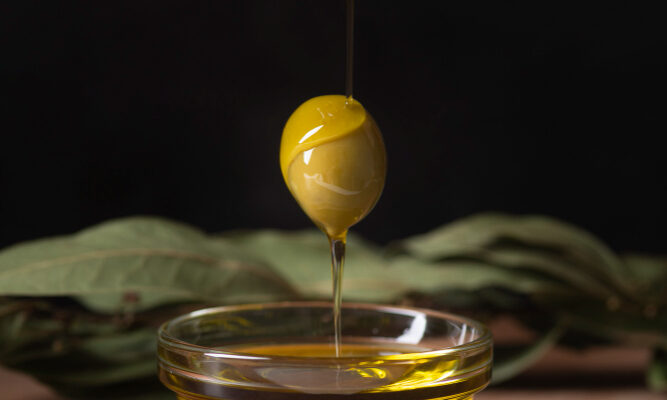 high phenolic olive oil