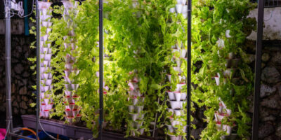 Aeroponic Tower Garden