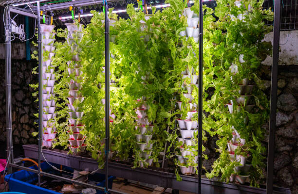 Aeroponic Tower Garden